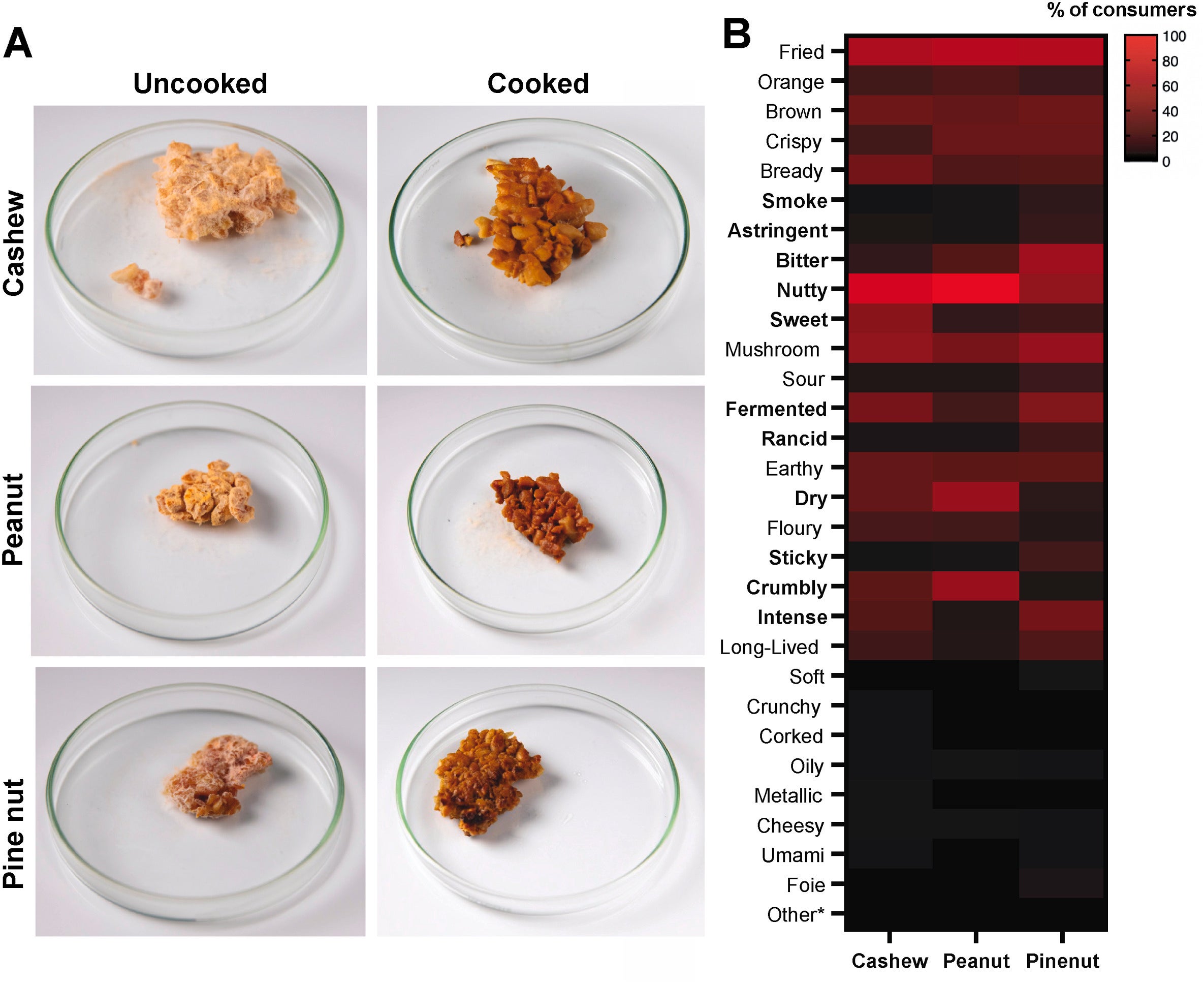 Appearance and sensory attributes of oncom produced from alternative substrates in solid-state fermentation by N. intermedia.