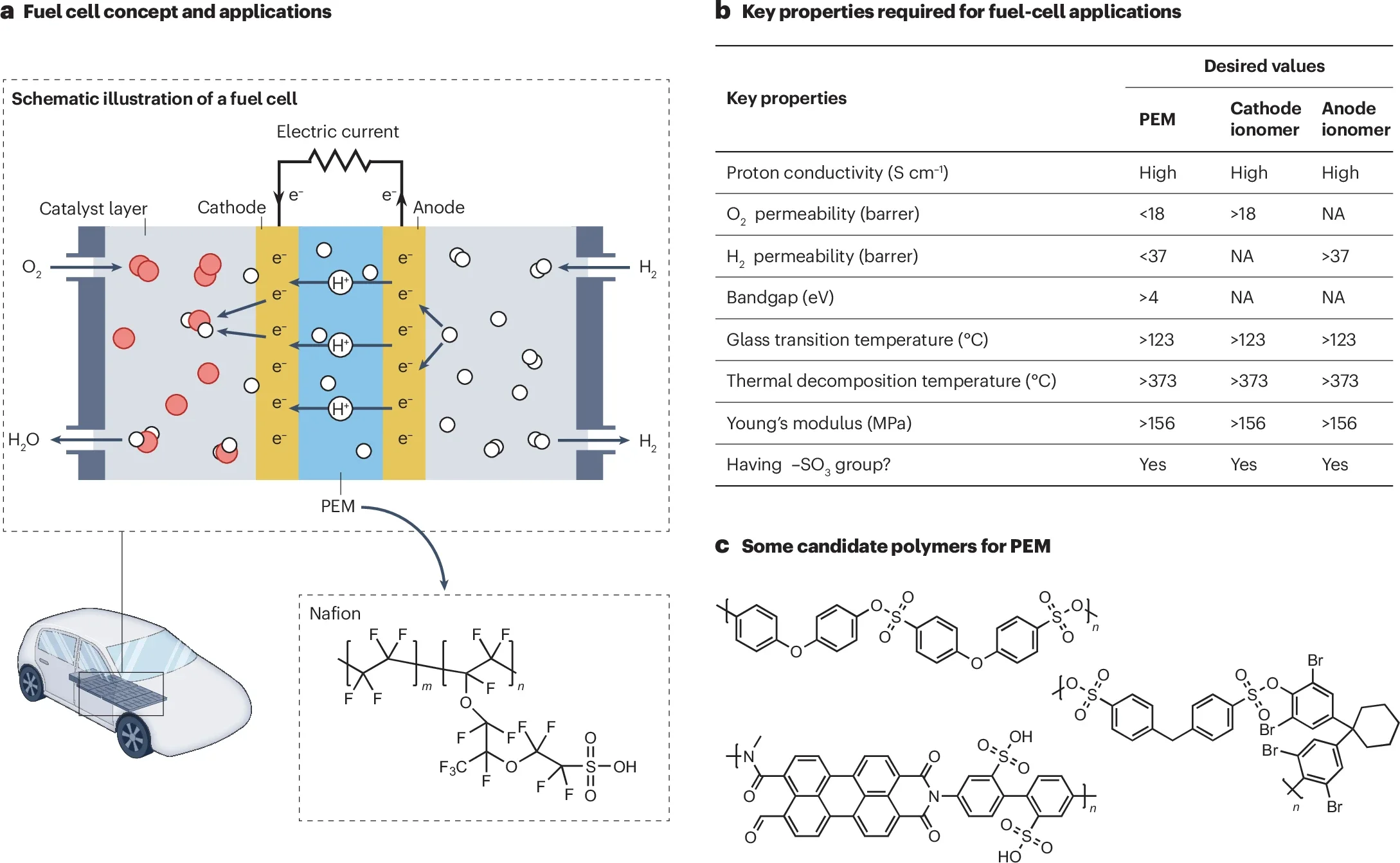 Polymers for fuel cells.