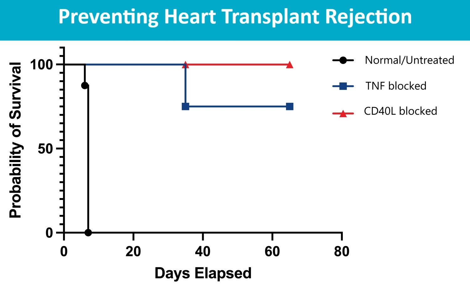 In mice, transplanted hearts functioned longer when the recipients were gene-edited to lack receptors to two inflammation-causing proteins.

