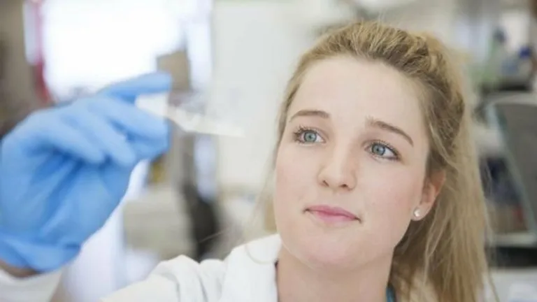 Dr. Marilena Tauro, a breast cancer researcher at Moffitt Cancer Center. 