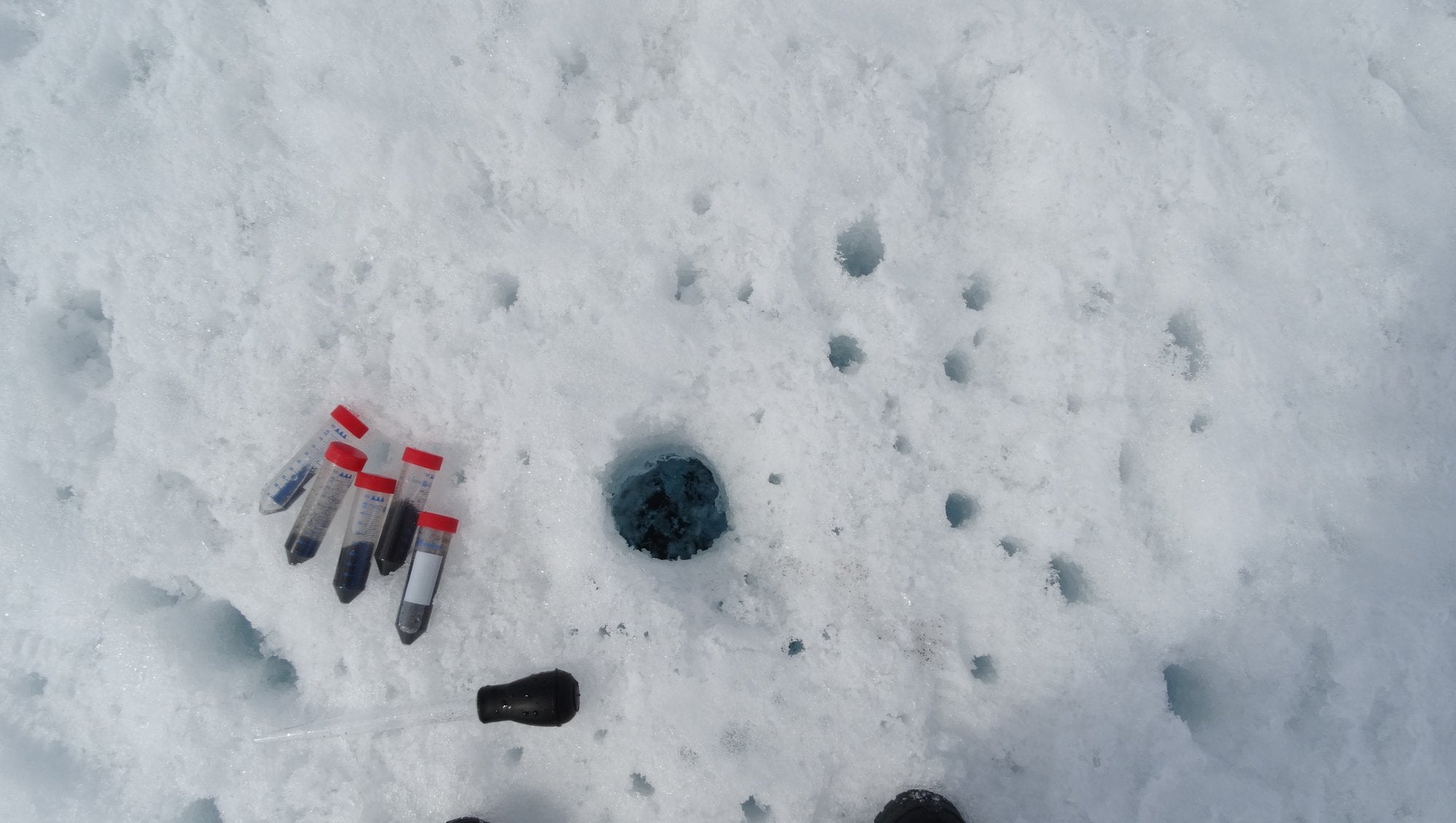 This is how it looks when the samples are taken on the ice. One tiny pipette contains a lot of microorganisms even though the ice seems barren and lifeless.