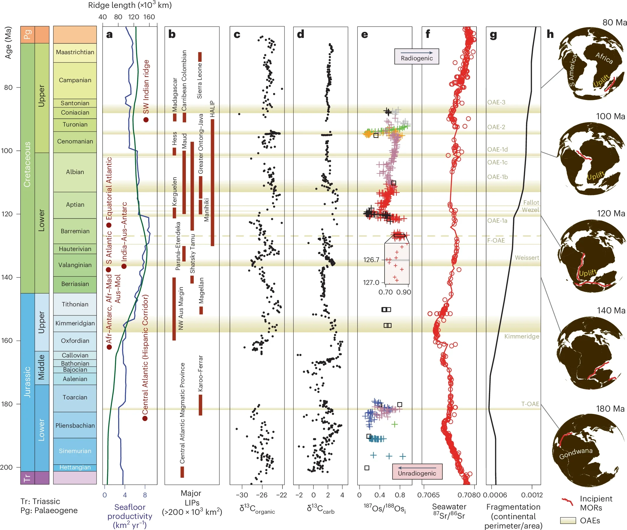 Tectonic, magmatic and oceanic chemical changes during the Mesozoic.