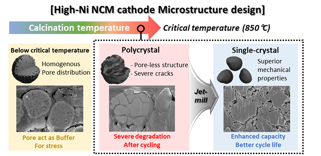 Schematic of the microstructure evolution of high-nickel cathode material with synthesis temperature and a strategy for synthesizing single crystals at a critical temperature.