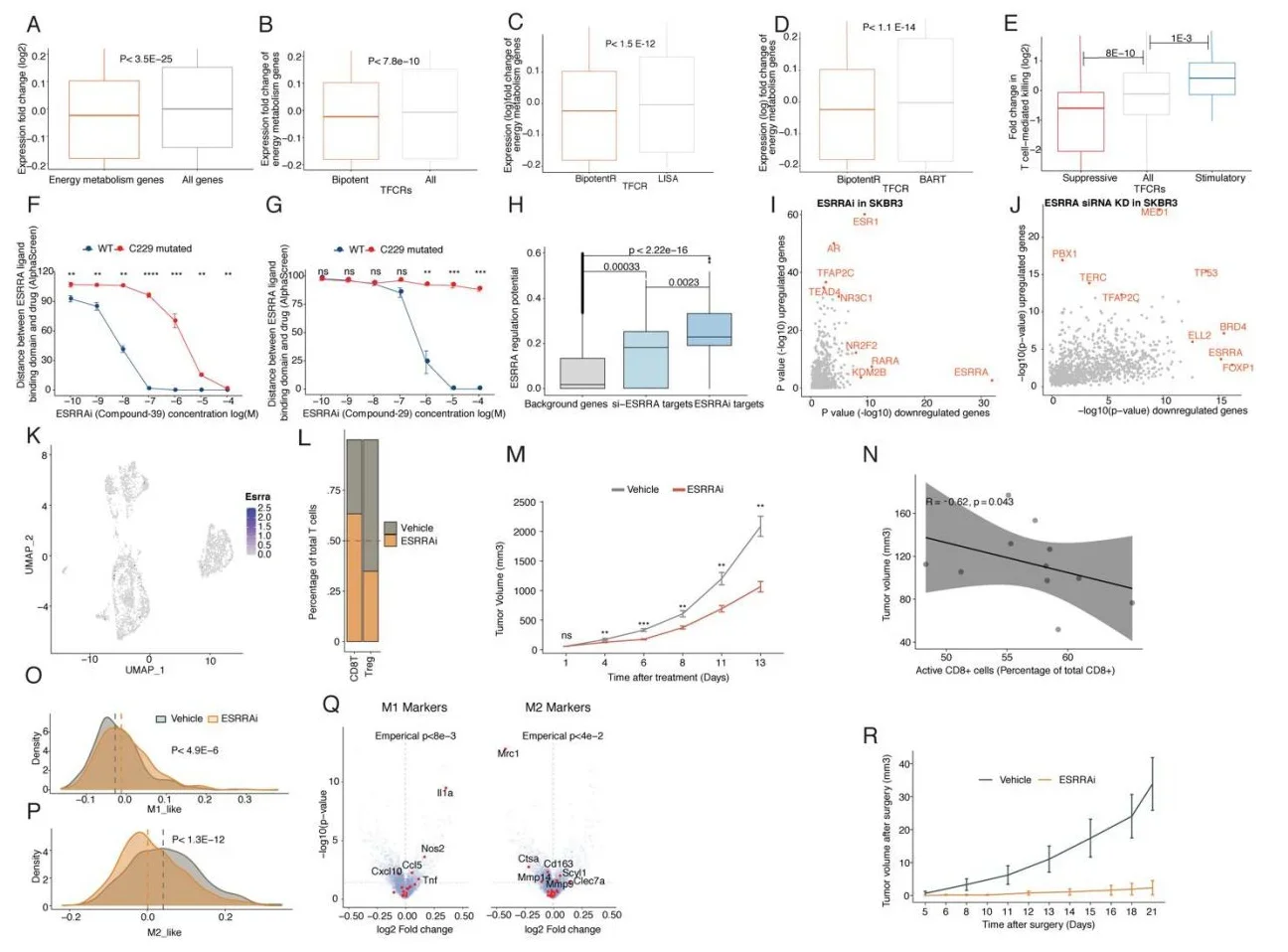ESRRA inhibition induces antitumor immunity in vivo. 