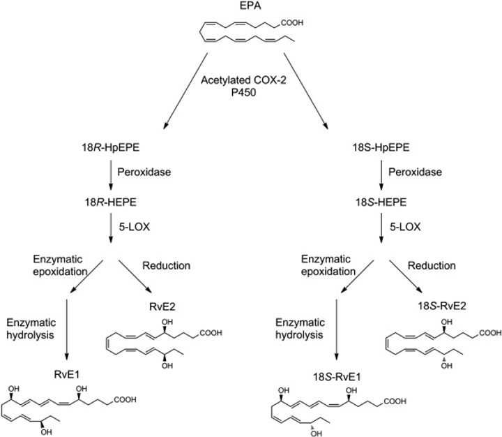 E-Series solvents are created by conversion of omega-3 polyunsaturated fatty acid (EPA) to 18- (r) -droxy-pearly acid (18r-hpepe) or 18- (s)-hydroxy-iconic acid. They are then produced in the action of the action of 5-lipoxygenase (5-LO) in neutrophils.