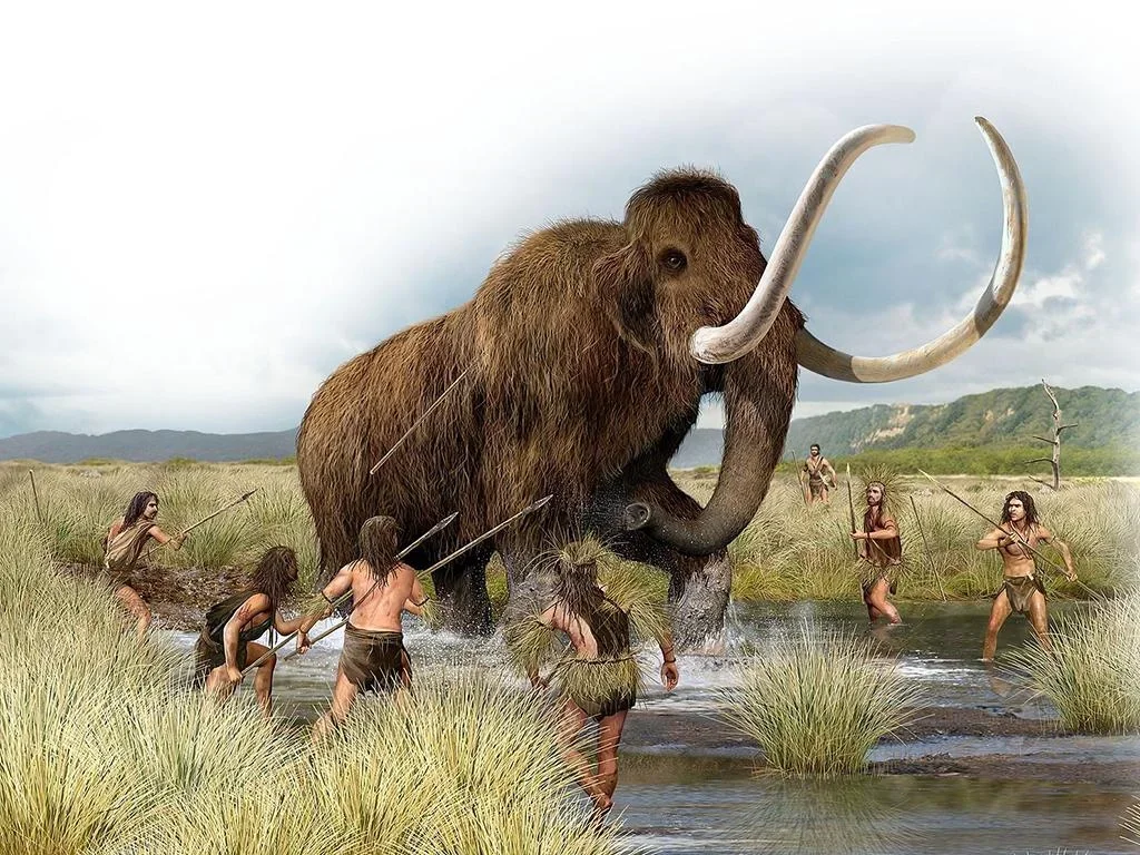Our remarkable long-distance running abilities evolved to help us hunt large game animals through persistence hunting.
