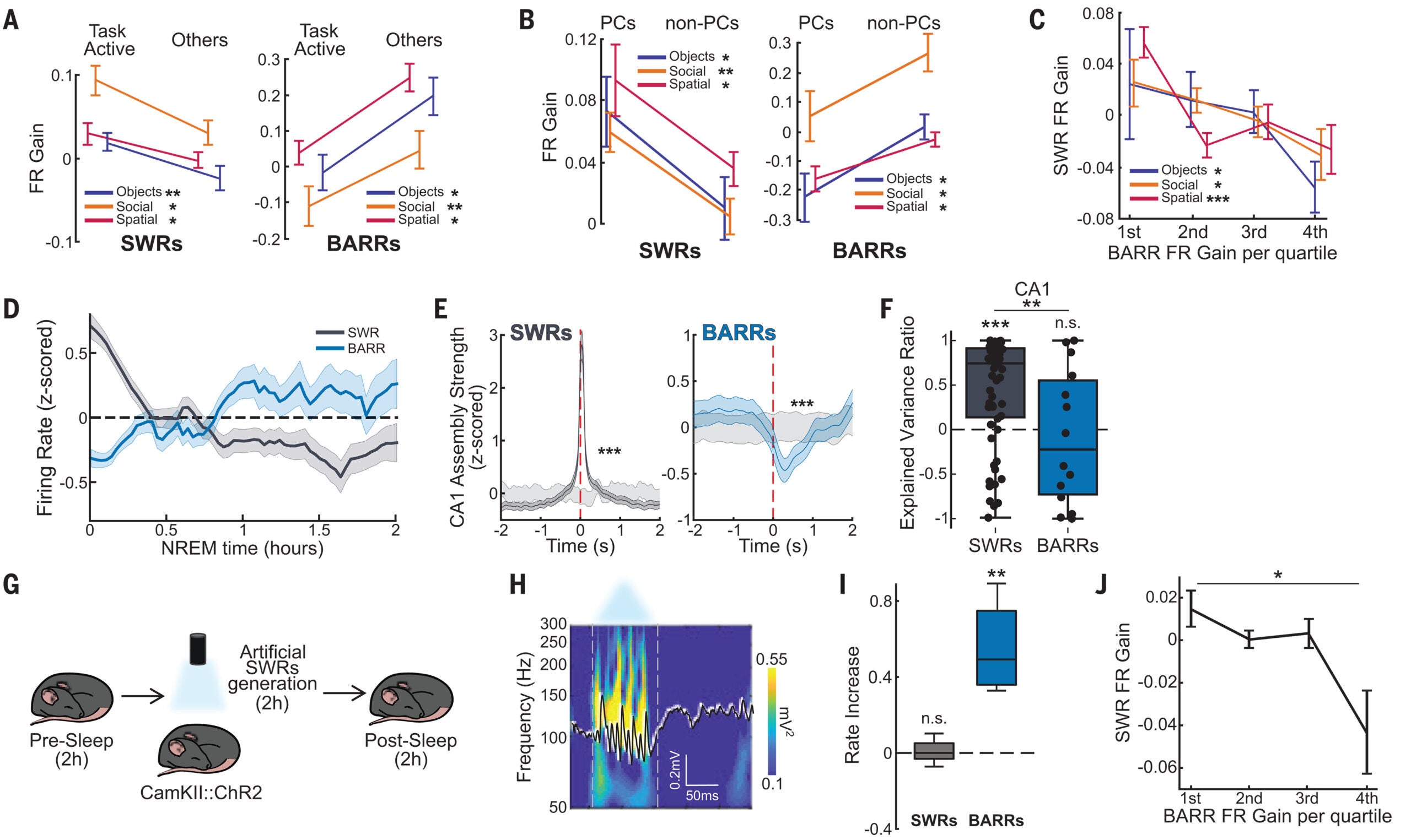 BARRs inhibit task-active cells and assemblies.