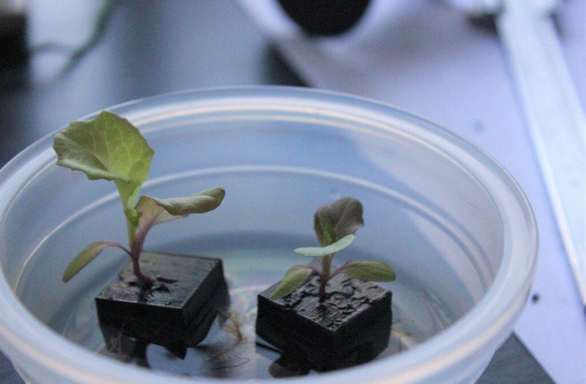 Sharif designed a 3D-printed soil construct capable of retaining water for over a week