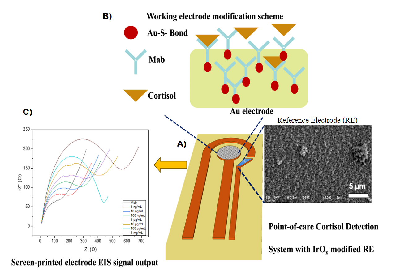 XJTLU Researchers have made a new and improved detector that can accurately measure levels of cortisol – a stress biomarker in the blood. 