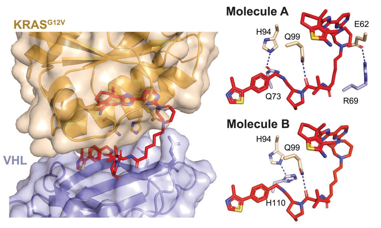 Identification of reversible, KRAS-selective degraders. Ternary complex co-crystal structure of VCB: compound 3:KRASG12V.