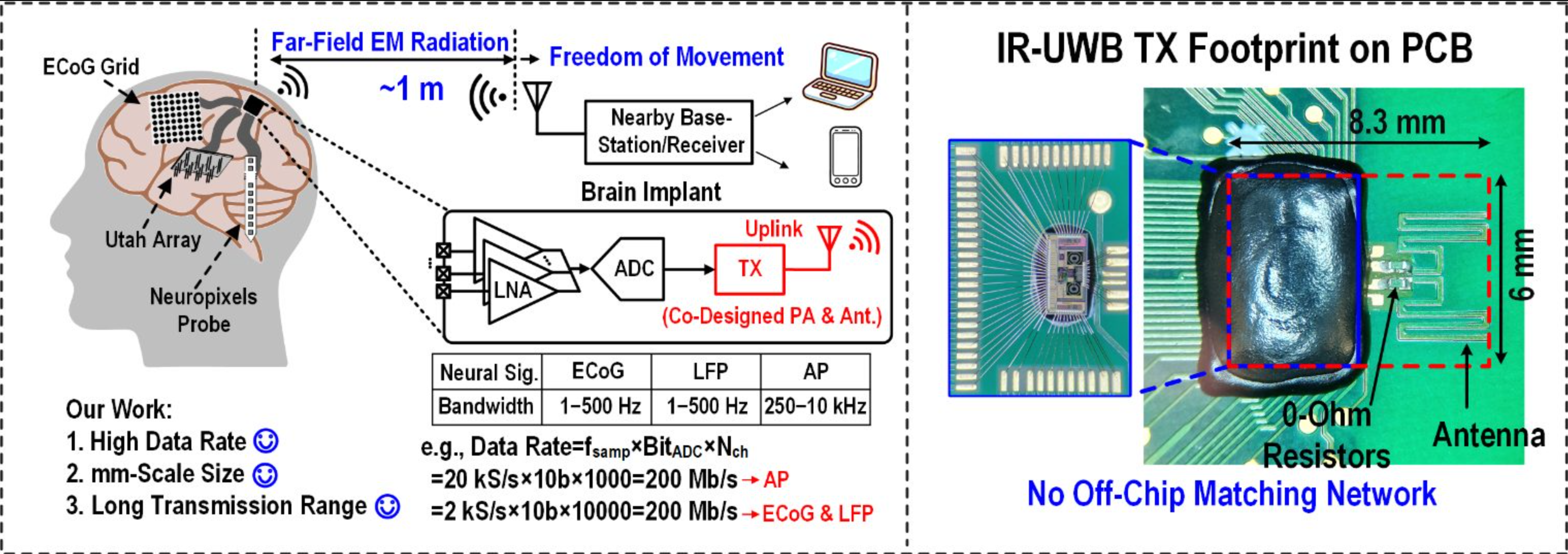 Unlike current BMIs, which typically send neural signals from the brain to a separate computer for decoding, the MiBMI performs both recording and processing in real-time.
