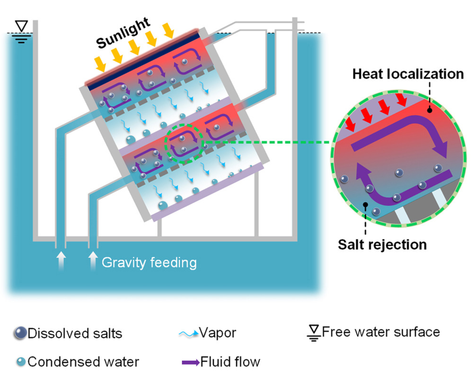 Graphical abstract: Researchers demonstrate a solar-powered multistage membrane distillation with extreme salt-resisting performance.