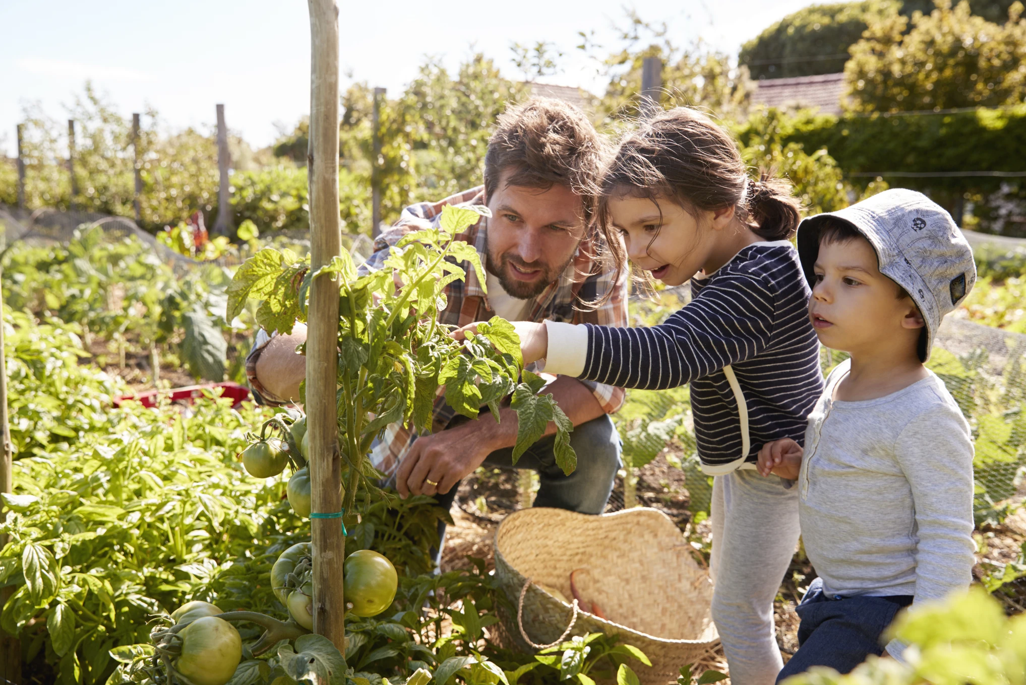 As the business grew, the team realized that instead of selling their growth medium to other farmers, it made more sense to produce and sell crops directly.