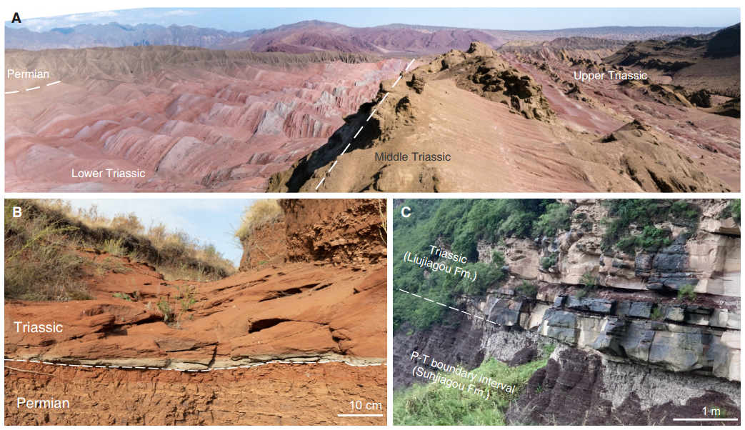 Field photographs of Upper Permian and Early Triassic terrestrial facies.