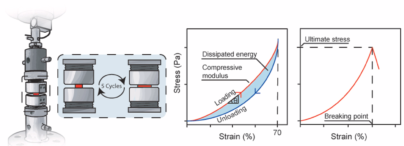 Brief explanation of the working principle behind the mechanical analysis of hydrogels.