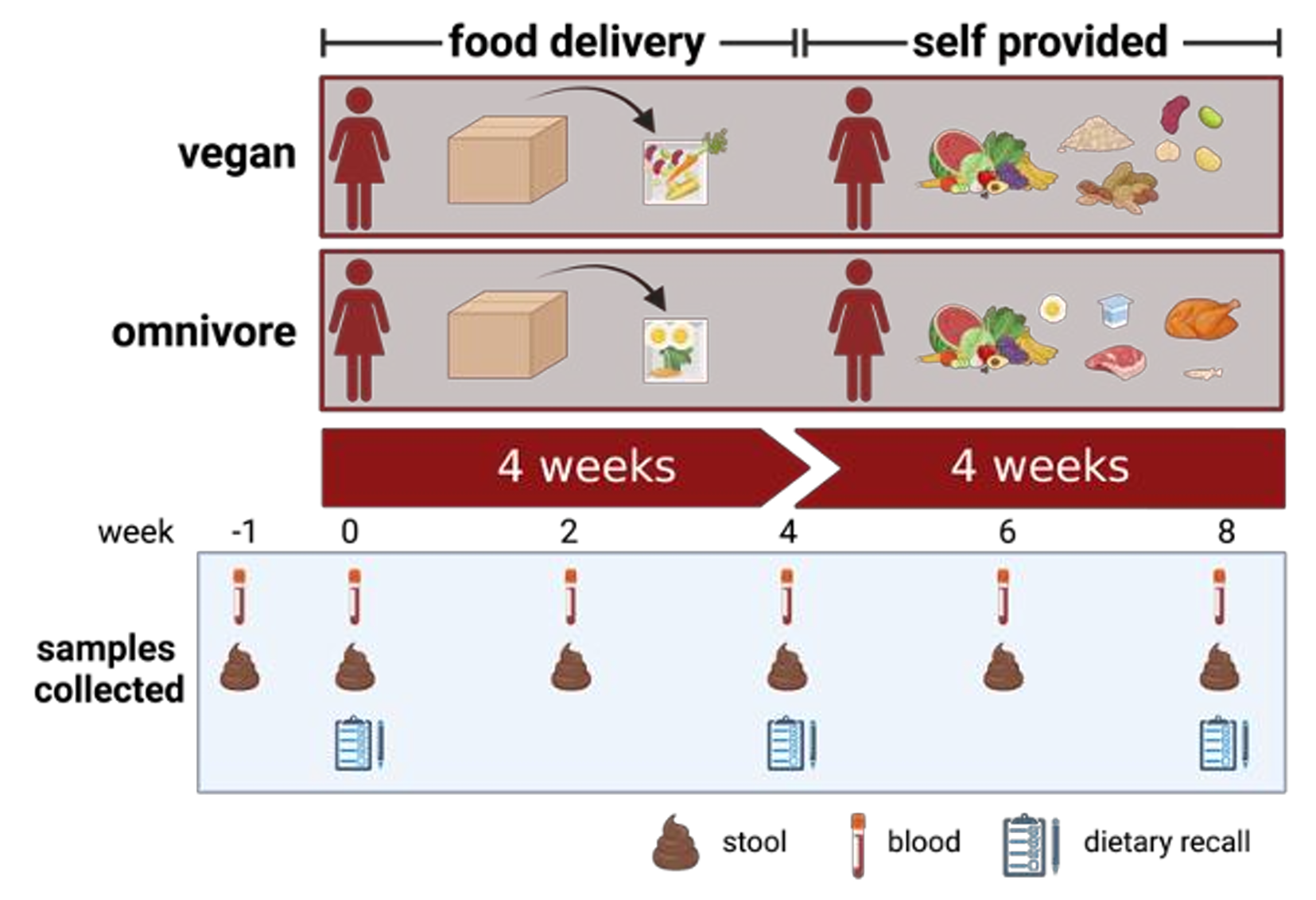 Twins Nutrition Study (TwiNS) Study Design