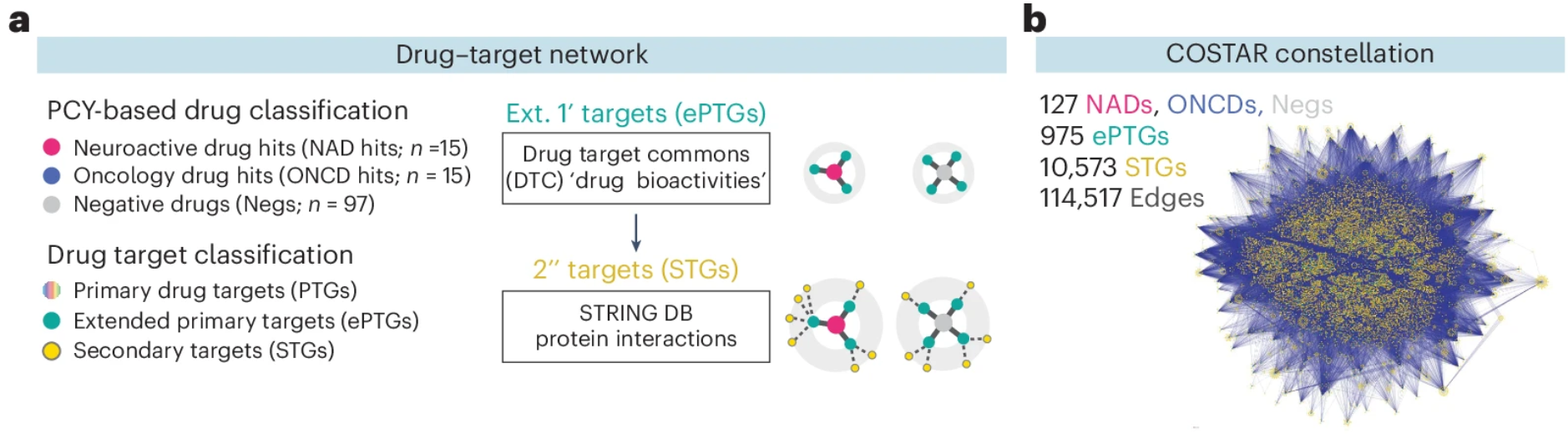 Molecular convergence on a neuroactive drug–target connectivity signature predictive of anti-glioblastoma efficacy.