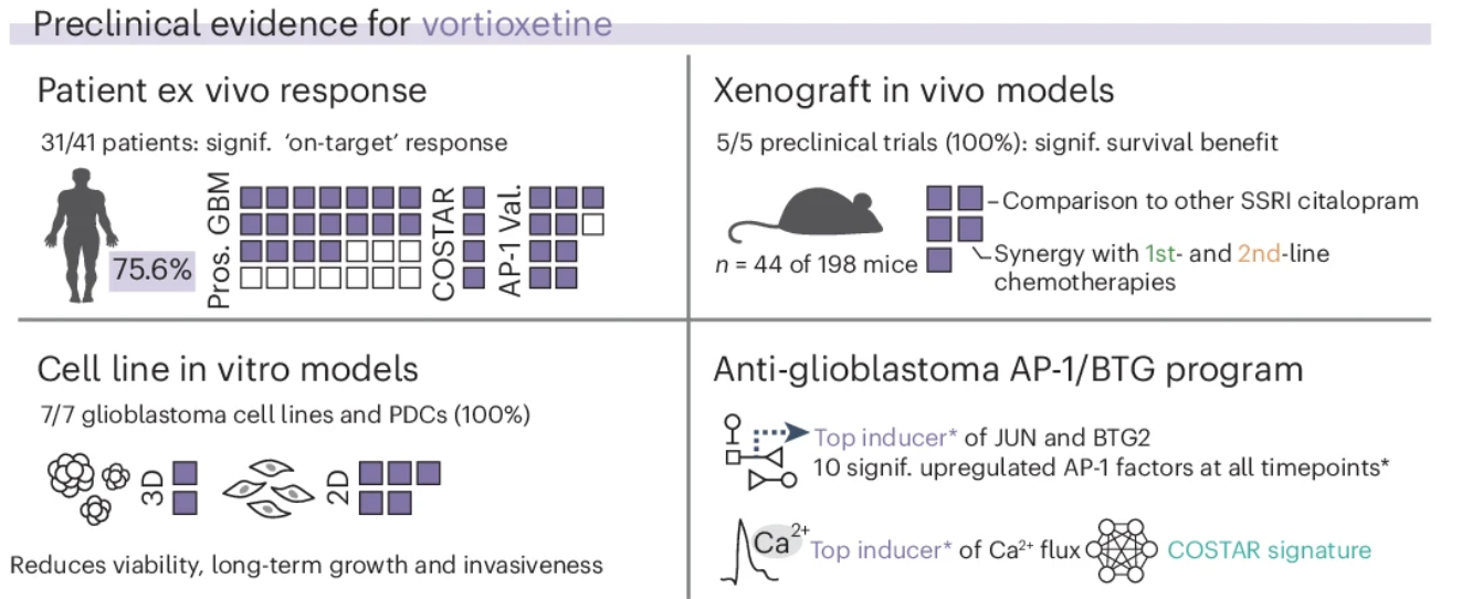 Preclinical evidence for the top PCY-hit NAD VORT across modalities. AP-1 Val., AP-1 validation samples (n = 10 and n = 1 overlap with COSTAR); COSTAR, COSTAR validation samples (n = 4); Pros. GBM, prospective patient cohort (n = 27). *, among tested drugs and timepoints.