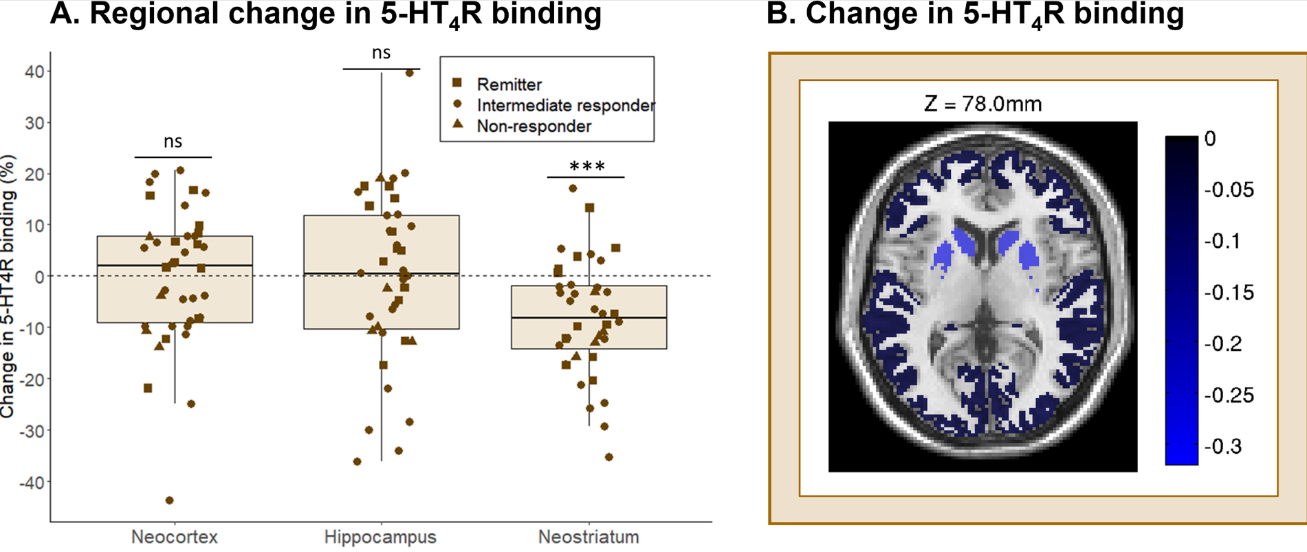 Change in serotonin 4 receptor (5-HT4R) binding between pretreatment state at baseline and rescan after 8 weeks of antidepressant treatment (n=40). 