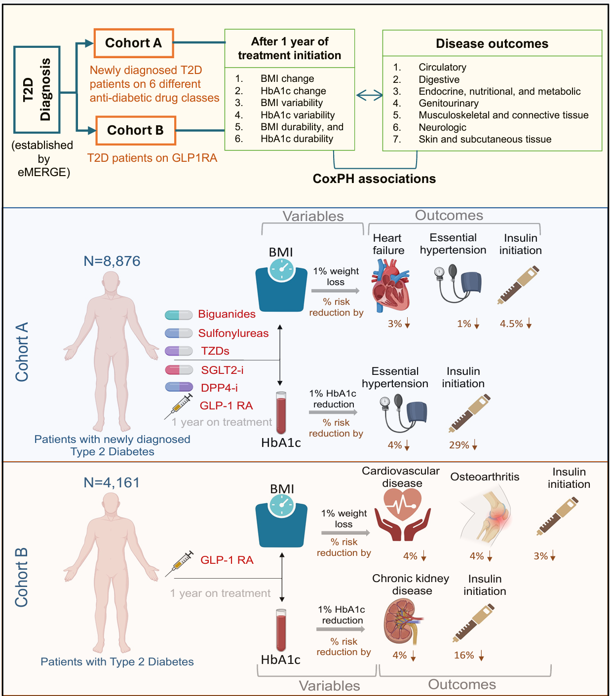 Graphical abstract. Complex interactions exist between glycaemic control, body weight, and health outcomes.