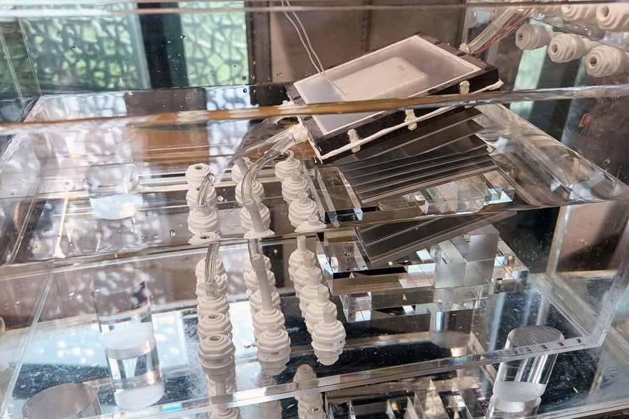 Solar-powered desalination system is cheap enough to solve the world's drinking water shortage