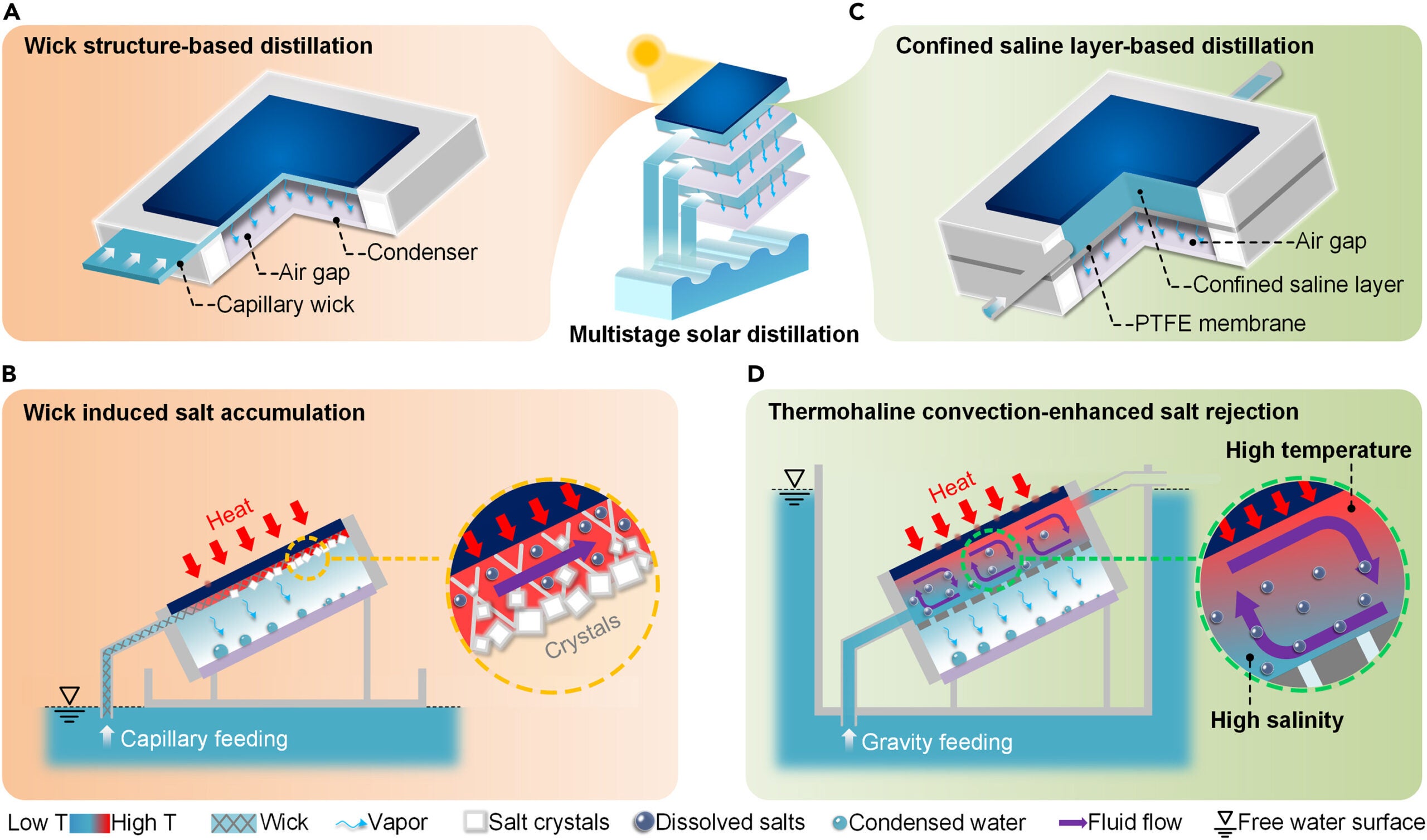 Thermohaline convection-enhanced solar distillation. Conventional thermally localized multistage solar distillation with capillary wick as the evaporator of each stage.