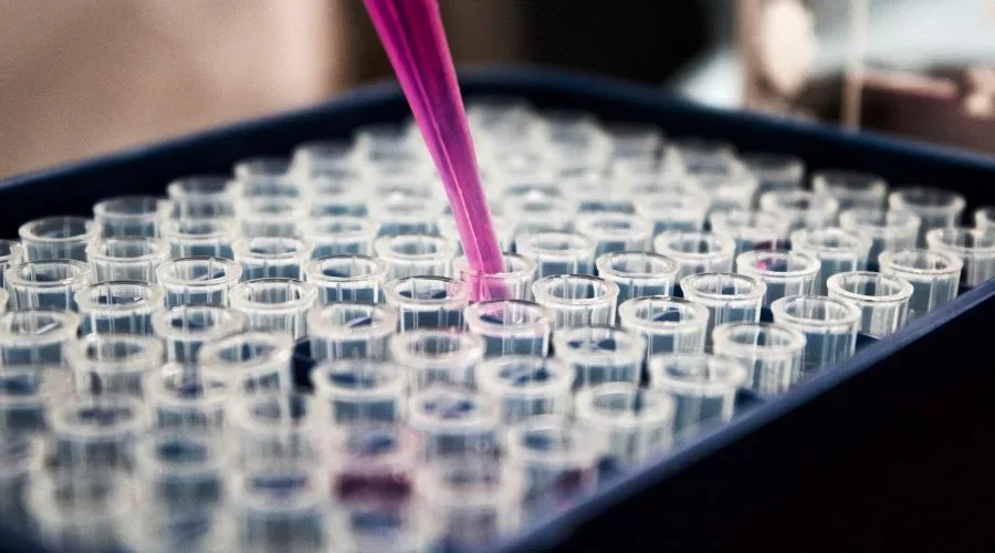 Study opens the door to new therapeutic strategies that do not rely on the CCR5-delta 32 mutation.