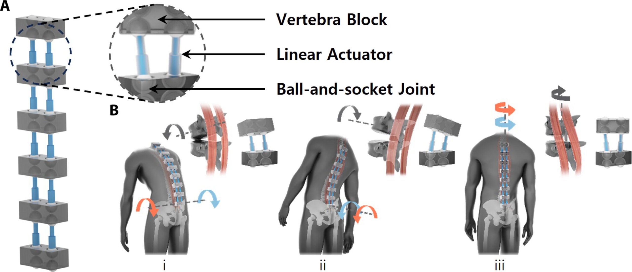SES mechanism.

