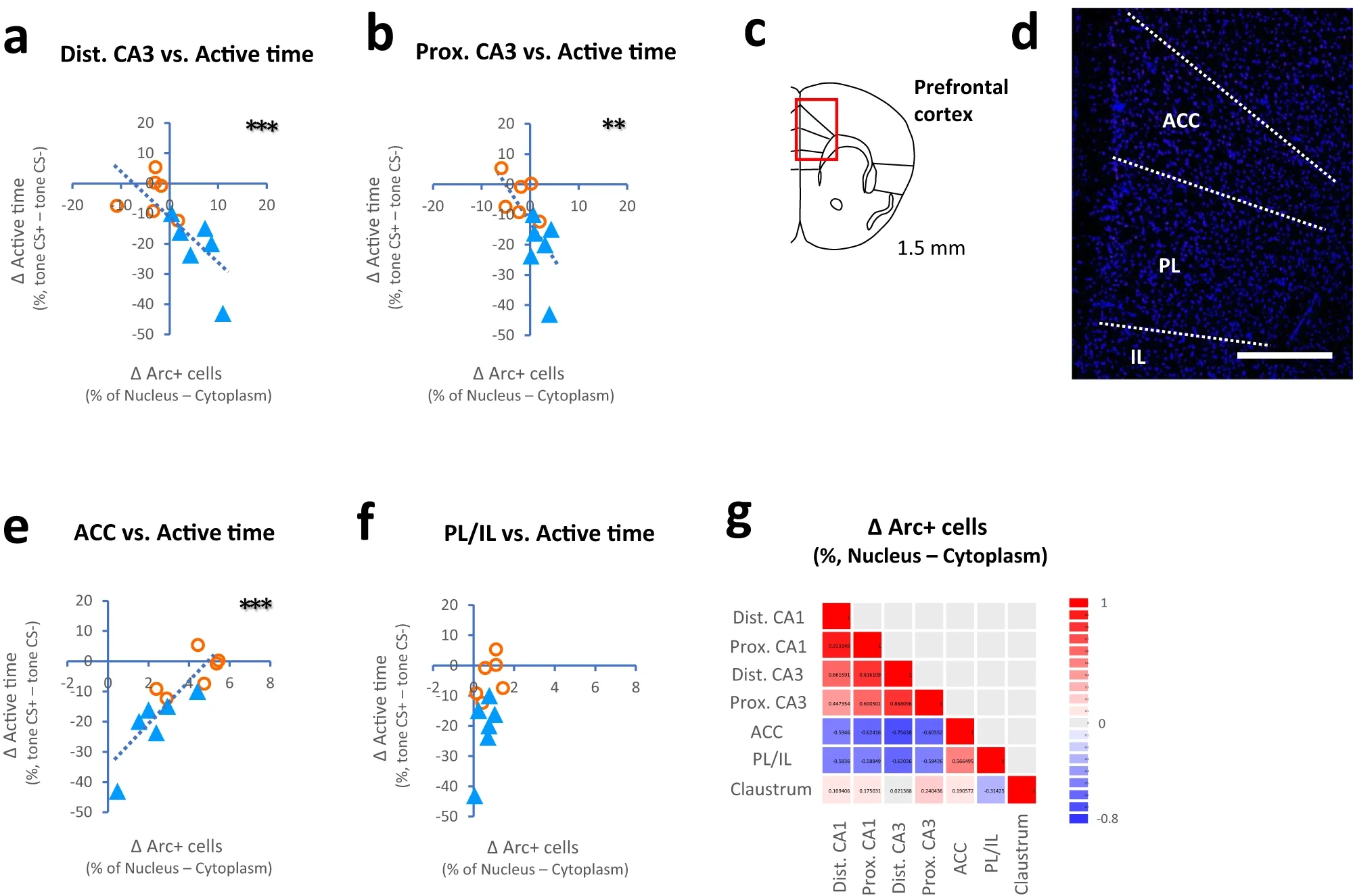 Correlation between neuronal activation and behavioral factors.