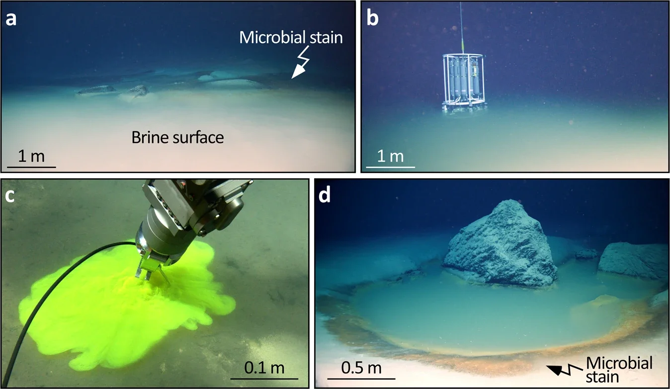 Photographs of the NEOM Brine Pools. 
