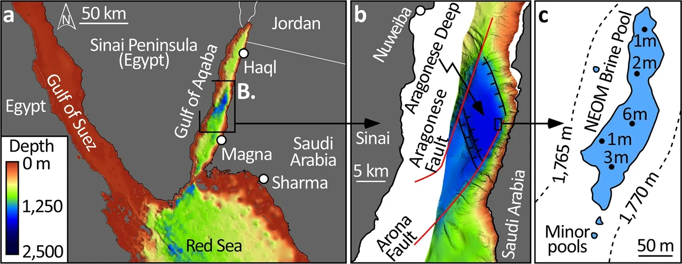 Bathymetric and tectonic setting of the NEOM Brine Pools in the Gulf of Aqaba.