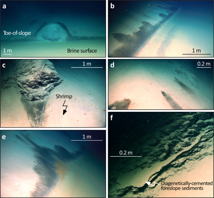 Source of the brine. Microbial staining suggests the main pool is fed by brine released from the toe-of-slope of the eastern margin of the Gulf of Aqaba.