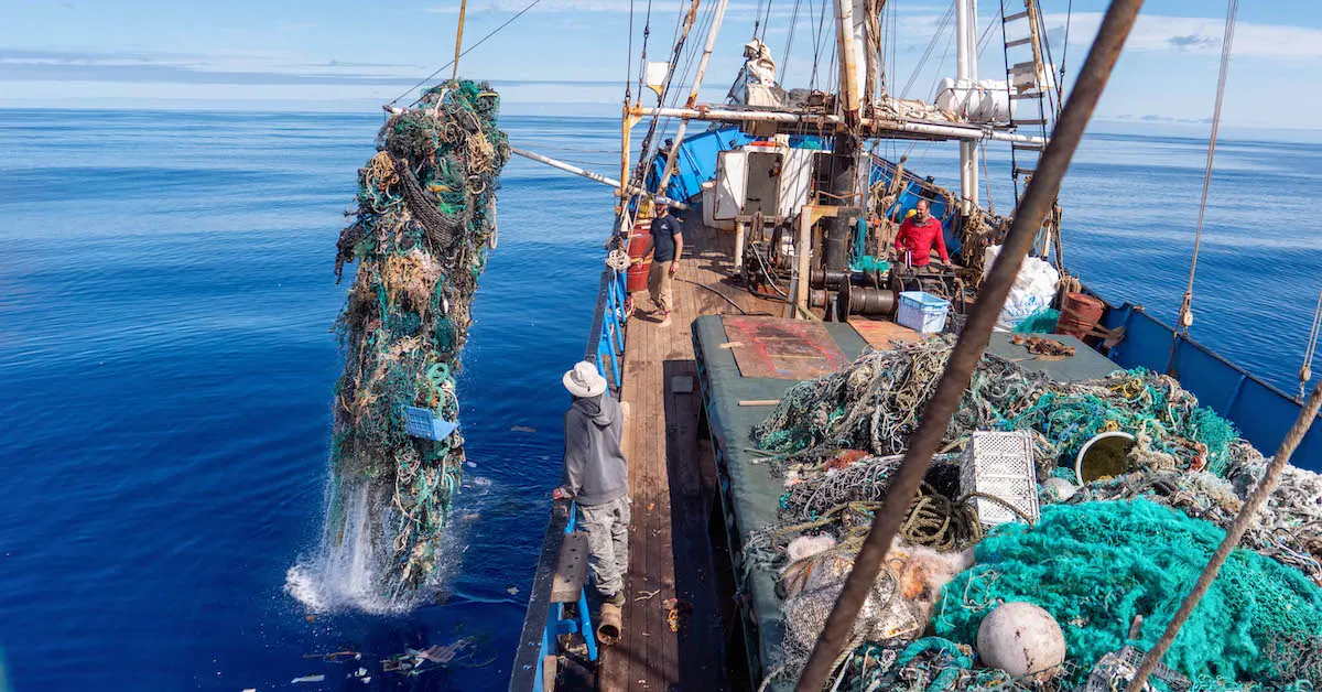By clarifying this concept, the researchers hope to inspire more people to become active participants in protecting the oceans