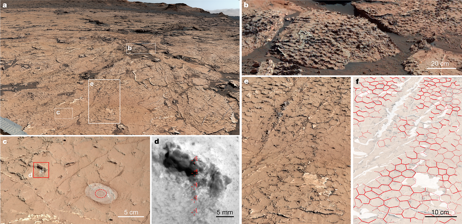 In situ observations of polygonal ridges. 