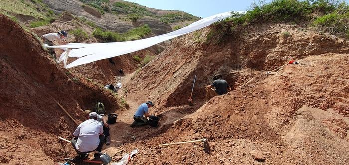 The palaeontologists recovered the fossils from the clay, silt and sandstones of the so-called Balabansai formation, near the town of Tashkumyr in the western part of Kyrgyzstan.

