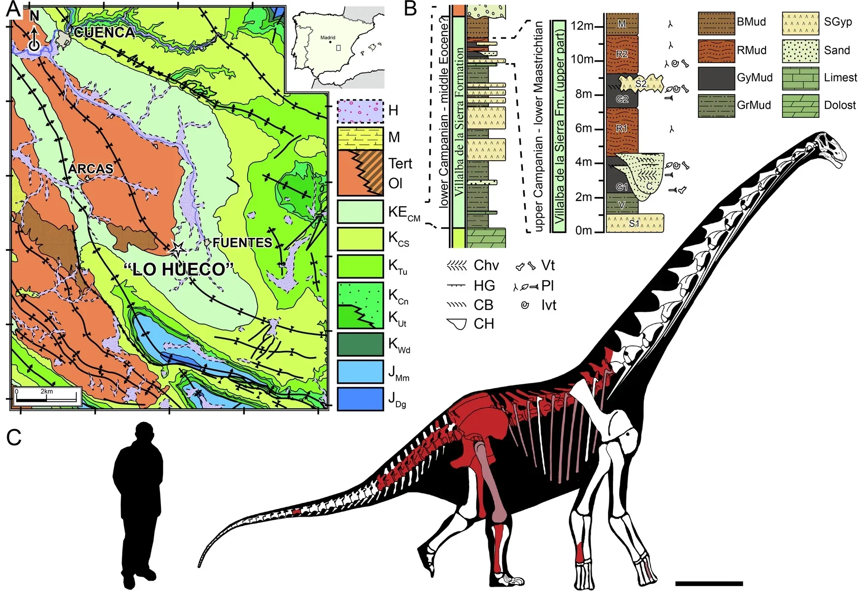 Geographic and geological setting of the palaeontological site of Lo Hueco. 