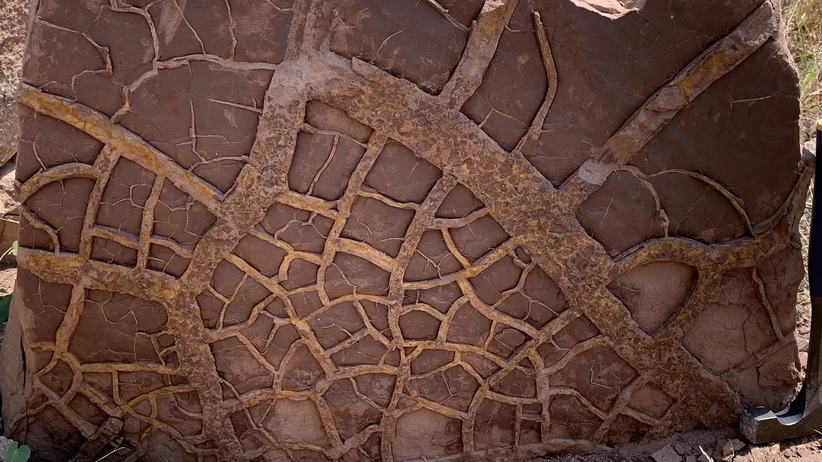 A geological field section reveals a desiccated (extreme dryness) land surface that was common all over the world 252 million years ago - a sign of our future to come.
