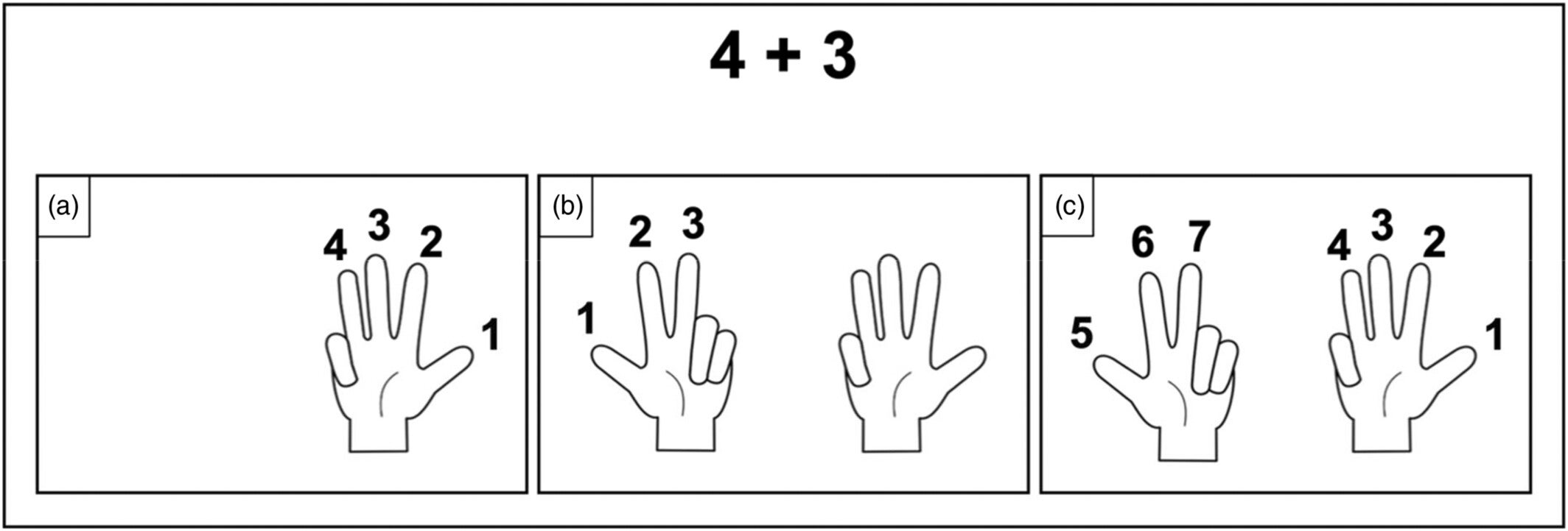 Illustration of the “ALL” strategy demonstration on fingers during the training of Experiment 1, Experiment 2, and Experiment 3. a) First operand represented; b) Second operand represented; c) All fingers counted again