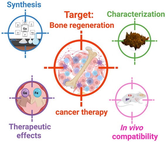 Synergistic bone regeneration and targeted cancer therapy can be combined, paving the way toward new bone cancer treatment approaches.