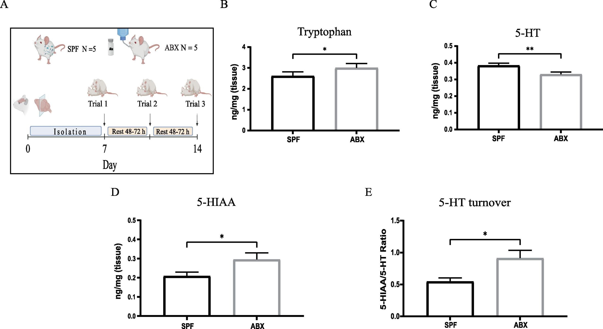 Alterations in gut bacterial composition, using antibiotic treatment, lead to changes in Tryptophan 5-HT, 5-HIAA and 5-HT turnover.