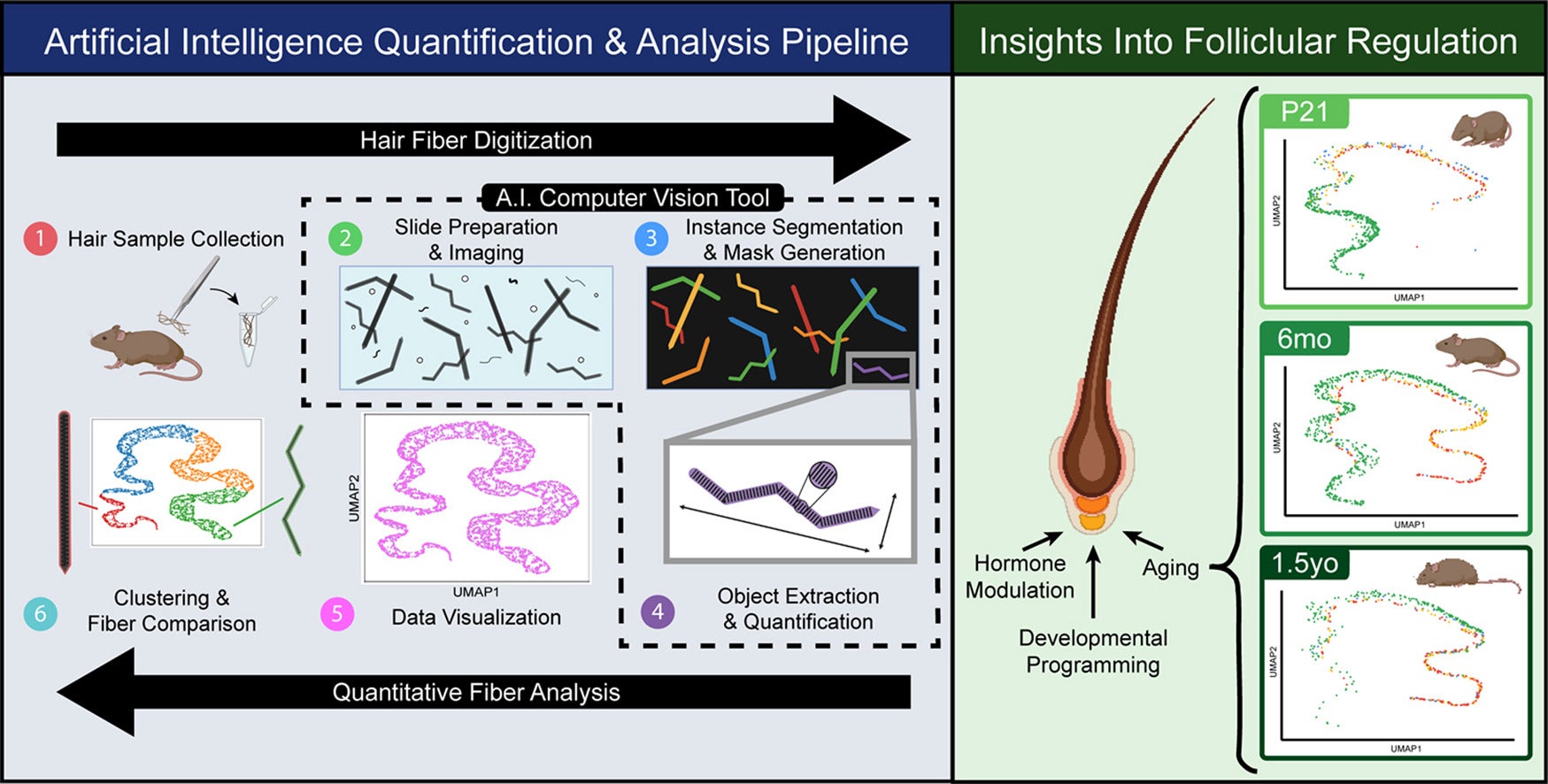 Graphical abstract of the study. 