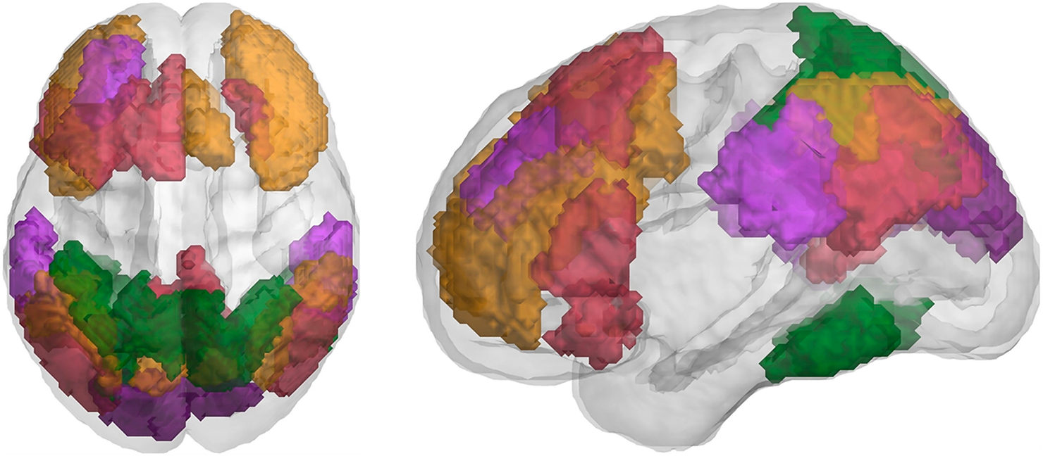 Functional regions included in the Parieto-Frontal Integration Theory (P-FIT) connectivity map, colored by intrinsic connectivity network. Green, dorsal attention; purple, ventral attention; orange, frontoparietal; red, default mode. 