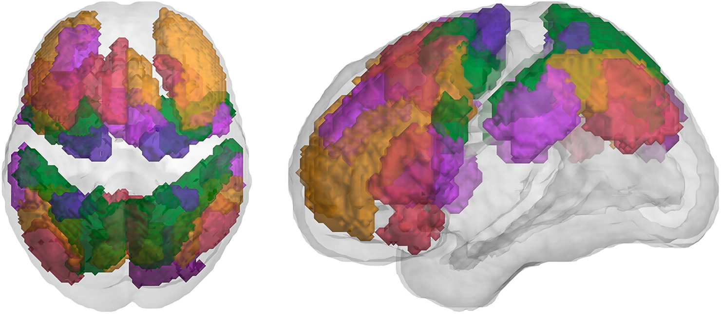 Functional regions included in the Multiple Demand (MD) Theory connectivity map, colored by intrinsic connectivity network. Green, dorsal attention; purple, ventral attention; orange, frontoparietal; red, default mode. 