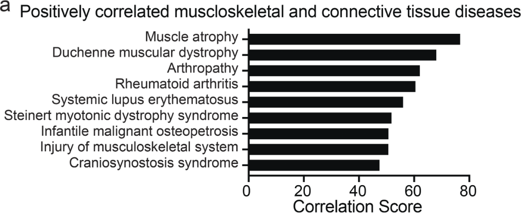 (a) Bar graph showing all positively correlated musculoskeletal diseases obtained from BSCE by using all differentially expressed genes from the Gcn5skm−/− bioset as an input for the meta-analysis. 