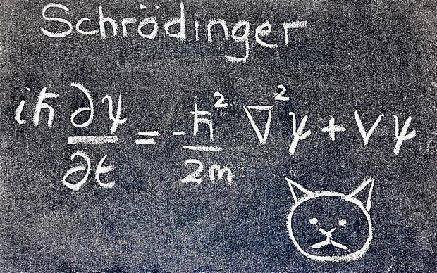 Researchers found their system aligned perfectly with the Schrödinger equation, which predicts the behavior of quantum objects.
