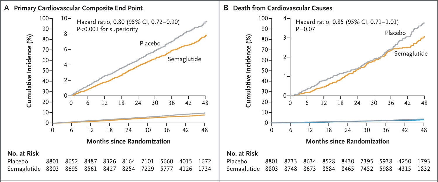 Panel A shows the cumulative incidence of the primary cardiovascular composite end point (death from cardiovascular causes, nonfatal myocardial infarction, or nonfatal stroke). Panel B shows the cumulative incidence of the first confirmatory secondary end point (death from cardiovascular causes).