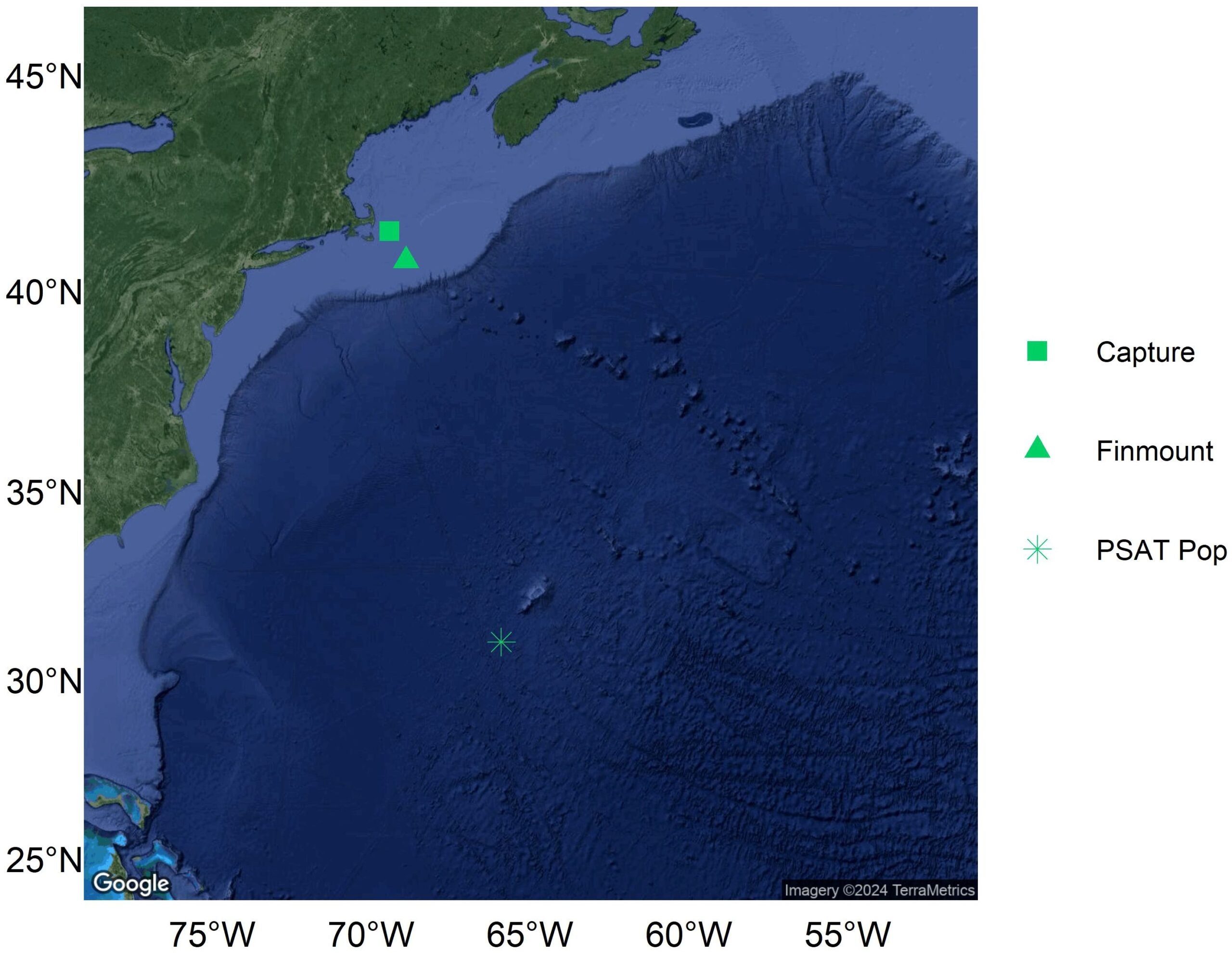 Map of the capture location, the single highest-accuracy daily finmount tag transmission, and the first transmission received from the PSAT after pop-off for a pregnant porbeagle tagged in the Northwest Atlantic.