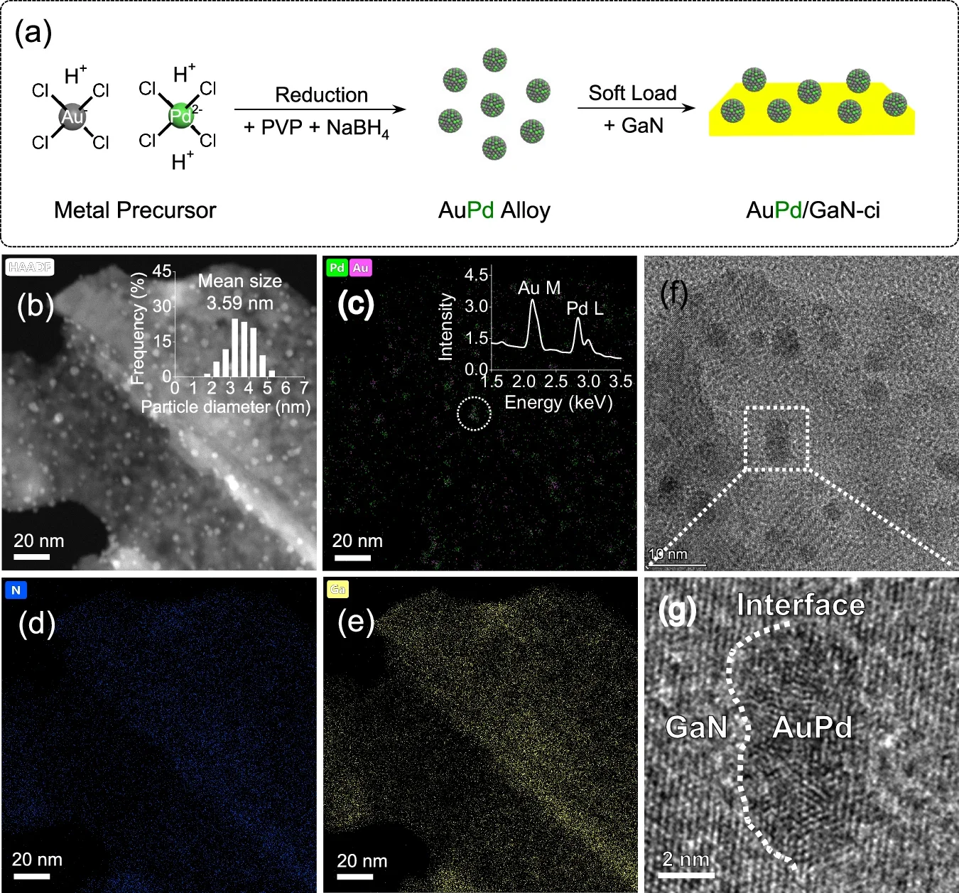 a Schematic diagram of preparation for AuPd/GaN-ci. b HAADF-STEM, c–e elemental mapping, f TEM, and g HRTEM images of AuPd/GaN-ci. The inset of b and c shows the corresponding nanoparticle size distribution and selected area of EDX spectrum for AuPd/GaN-ci, respectively.
