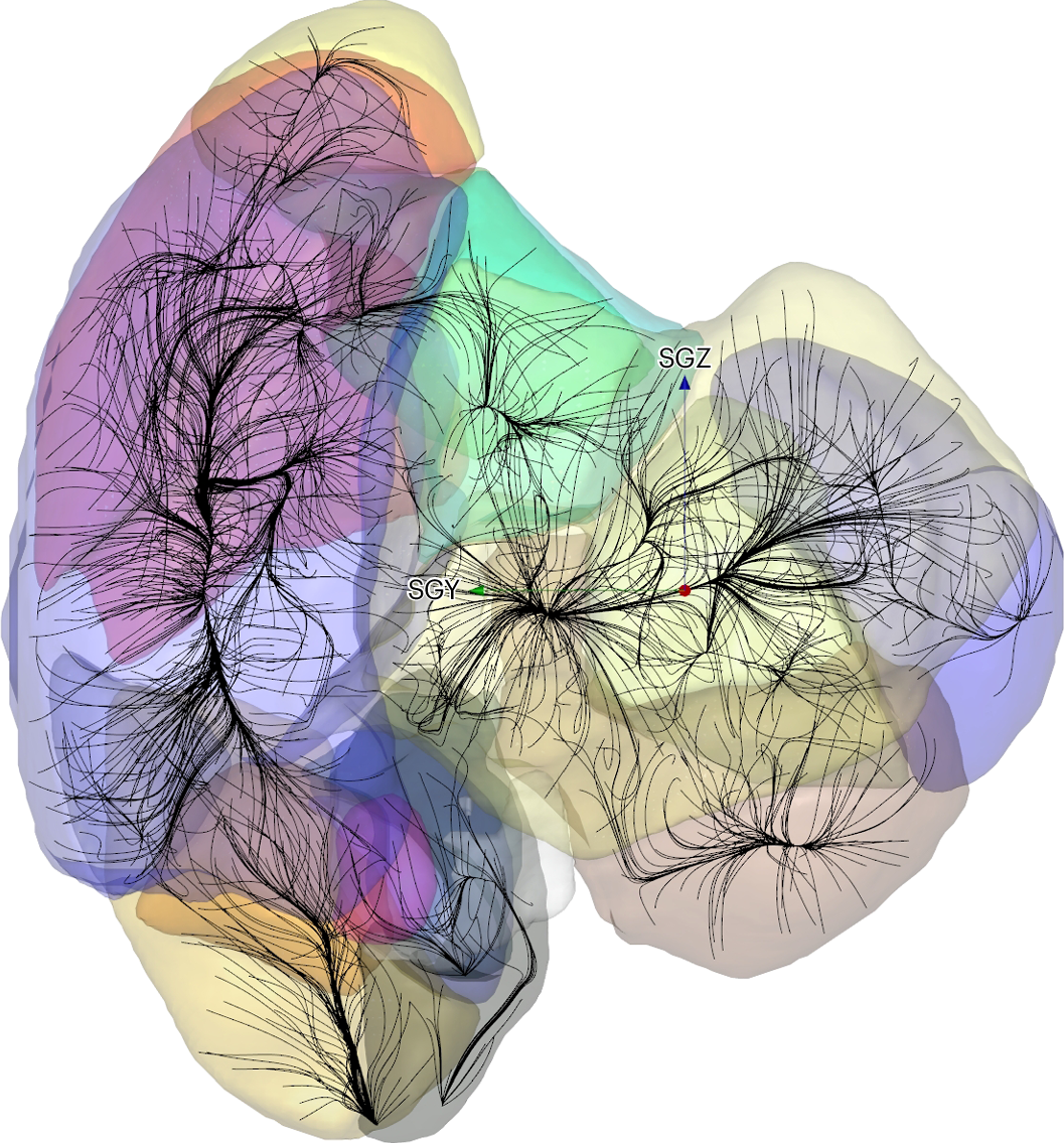 Velocity streamlines seeded at arbitrary locations within the reconstructed volume, with coloured envelopes associated with separate BoA extracted from the mean field.