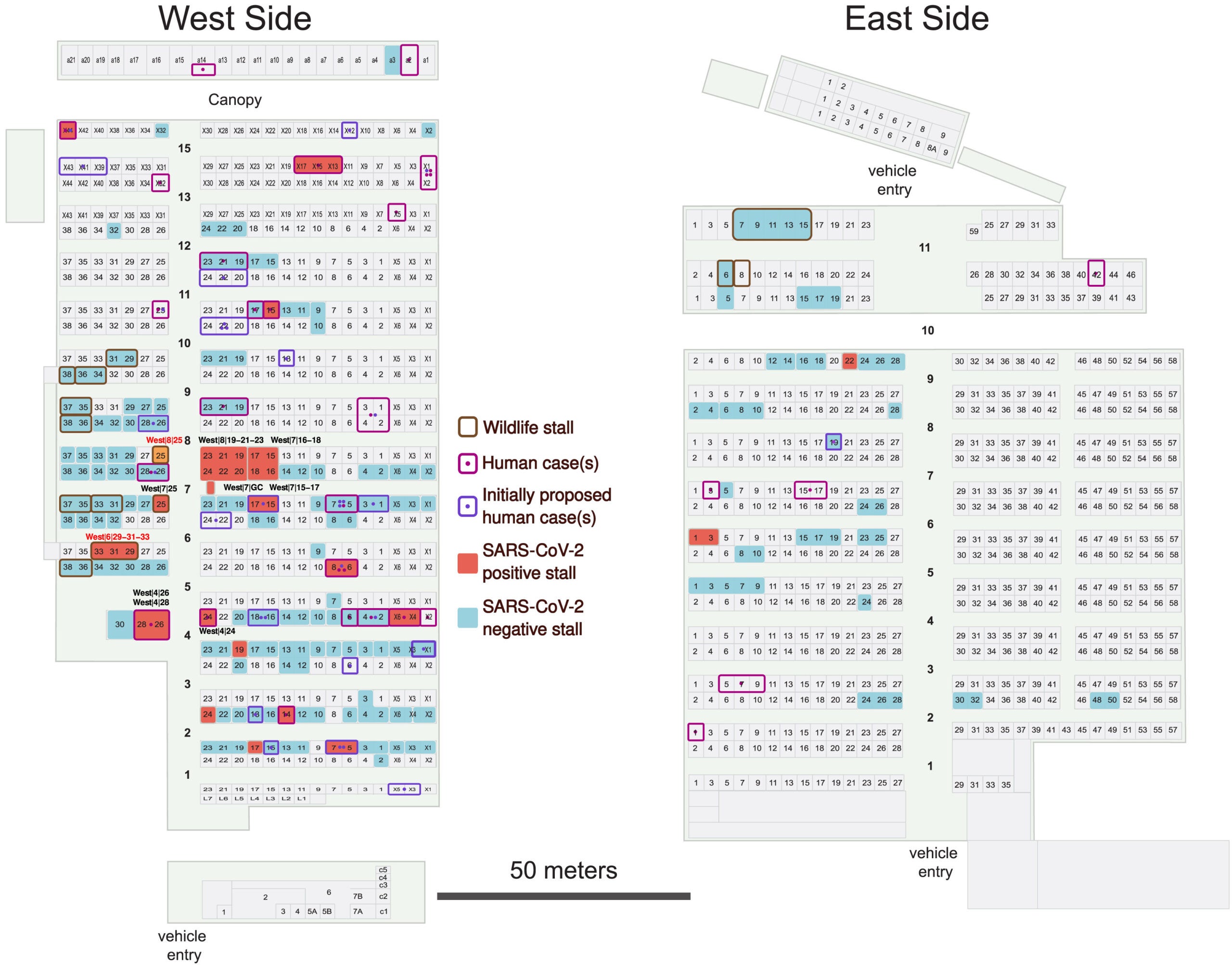 Map of environmental samples and reported human cases from the Huanan market